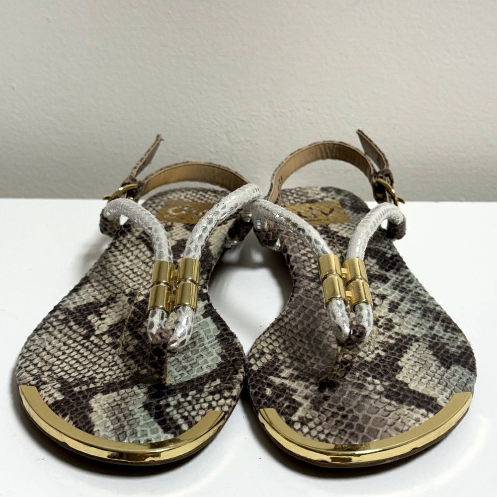 The Dolce Vita Women's Archer Thong Sandal in size 7.5 snakeprint